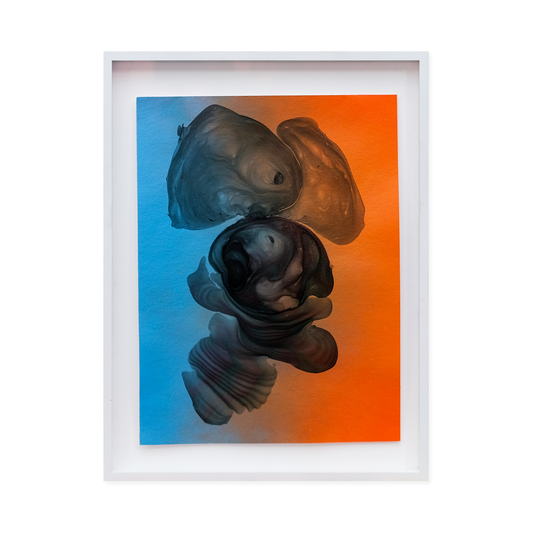 Original fragment "26.11.25.18"