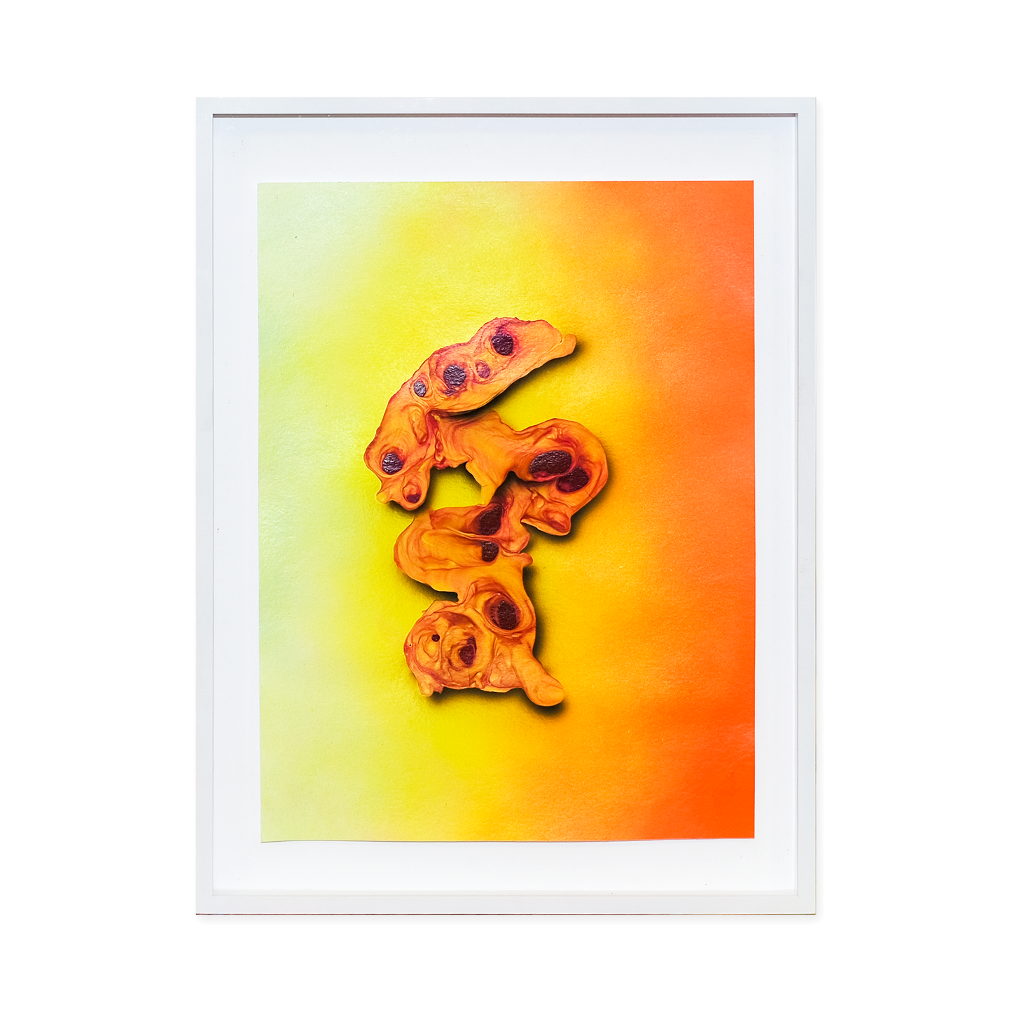 Original fragment "26.11.25.29"