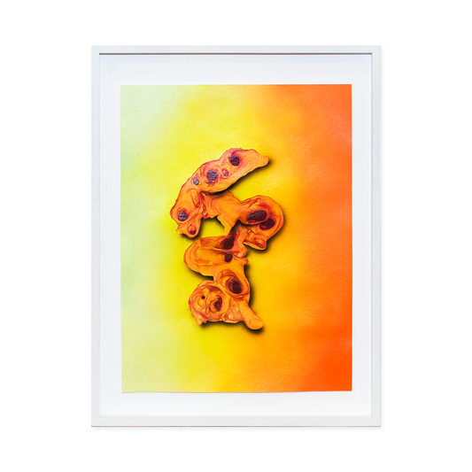 Original fragment "26.11.25.29"